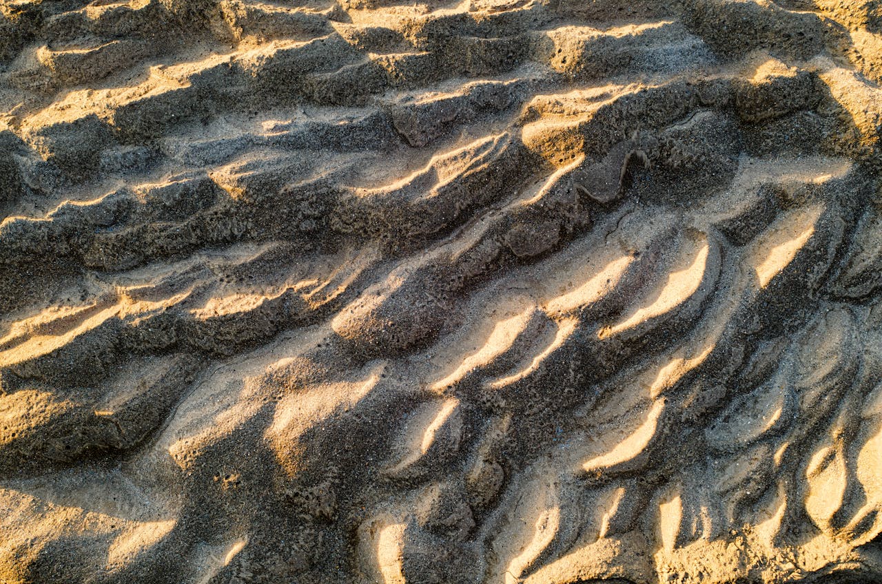 Detailed close-up of rippled sand texture illuminated by sunlight.